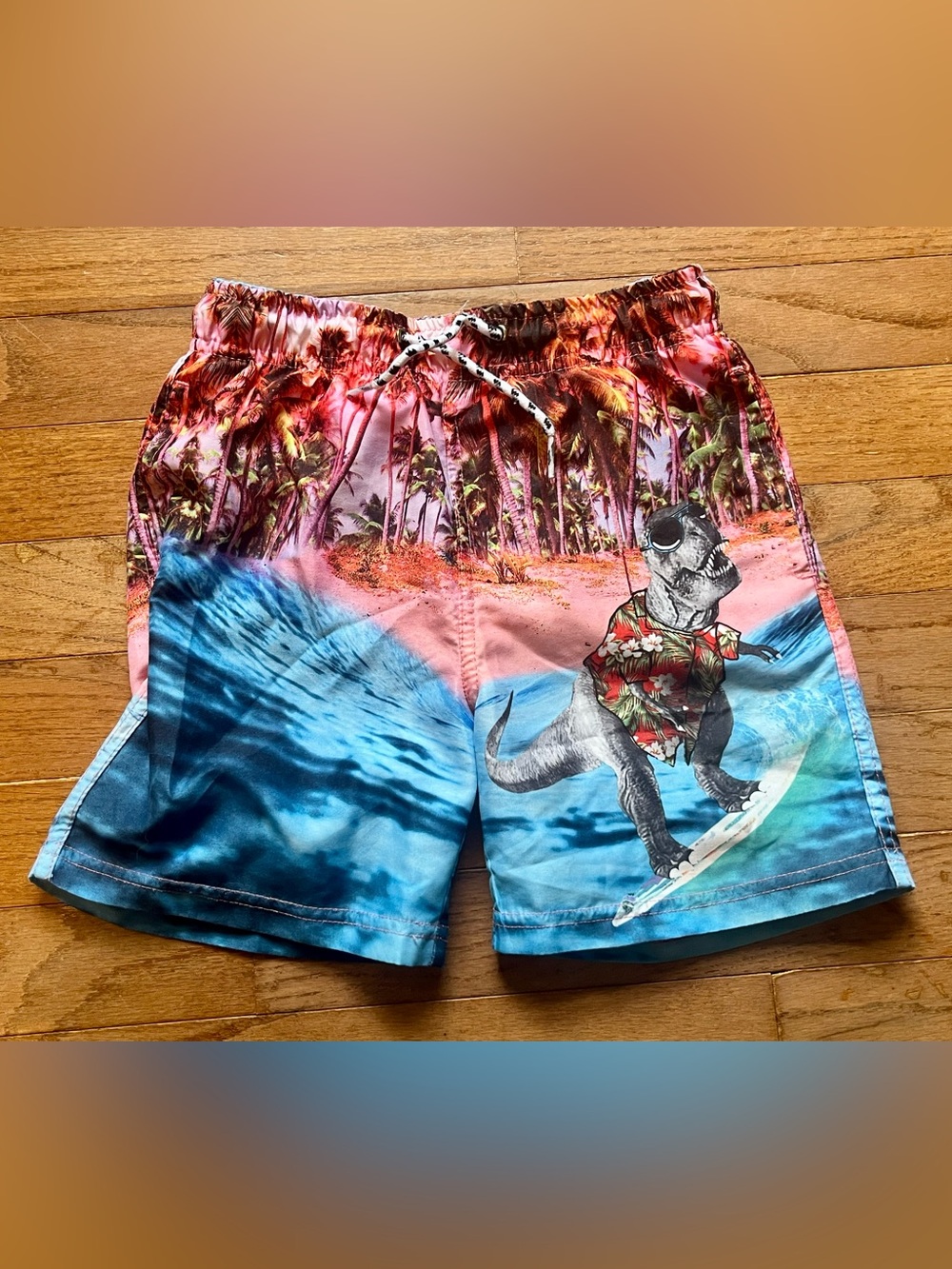 Little Boy’s Surfing T-Rex Swim Trunks